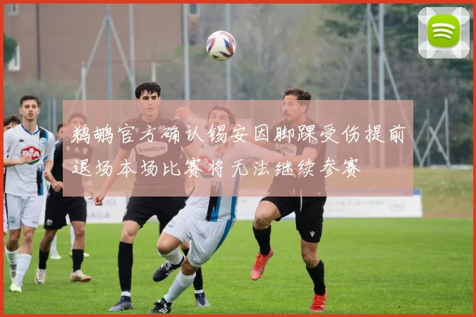鹈鹕官方确认锡安因脚踝受伤提前退场本场比赛将无法继续参赛