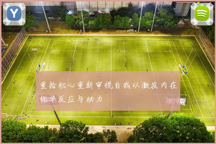 重拾初心重新审视自我以激发内在化学反应与动力